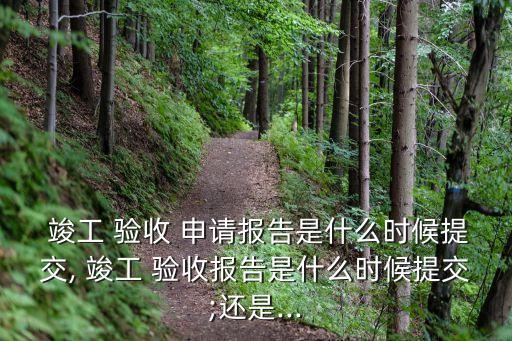 竣工驗(yàn)收申請(qǐng),房屋建筑工程與市政基礎(chǔ)設(shè)施工程竣工驗(yàn)收規(guī)定