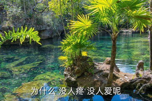 為什么 沒人疼 沒人愛呢