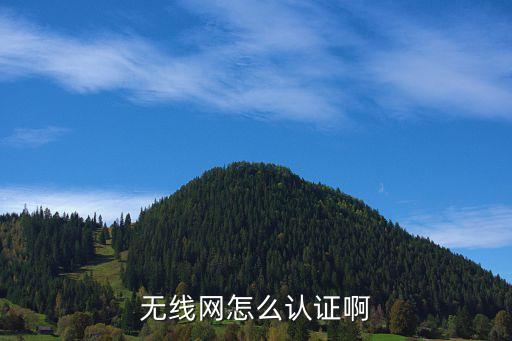 無線網怎么認證啊