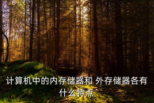 外存儲器,內存和外存存儲介紹一下