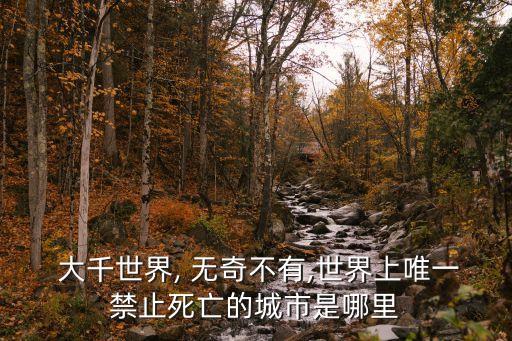 大千世界無奇不有,大千世界:充滿矛盾又美好!