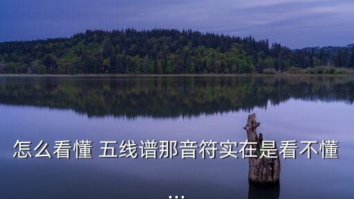 怎么看懂 五線譜那音符實在是看不懂...