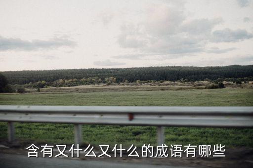 含有又什么又什么的成語有哪些