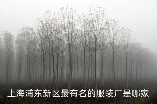 上海浦東新區最有名的服裝廠是哪家