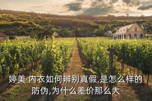 婷美內衣價格,梅婷內衣超級魔鬼緊身套裝走入男性健康市場