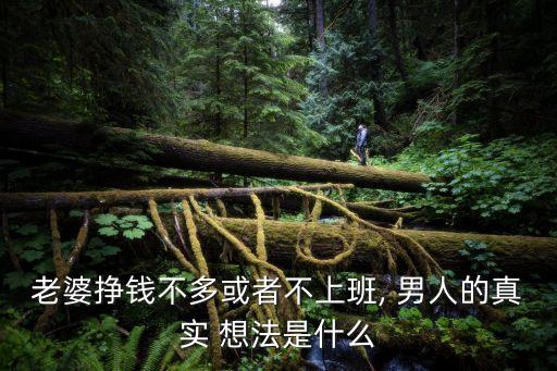 男人的想法,男人娶累贅老婆?不是不可能!