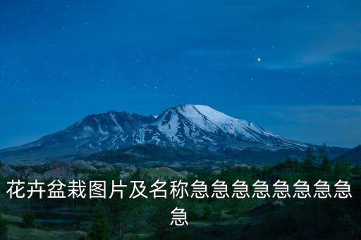 盆栽植物圖片大全，常見盆栽有哪些常見盆栽圖片大全