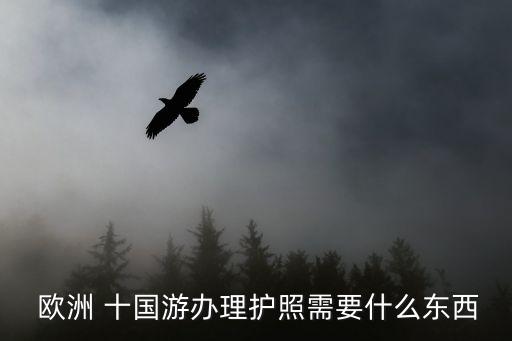 歐洲十國游,巴黎出口歐洲十國游護照中國公民使用巴黎入口
