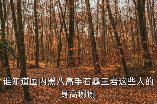 誰知道國內(nèi)黑八高手石鑫王巖這些人的身高謝謝