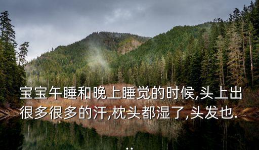  寶寶午睡和晚上睡覺的時候,頭上出很多很多的汗,枕頭都濕了,頭發也...