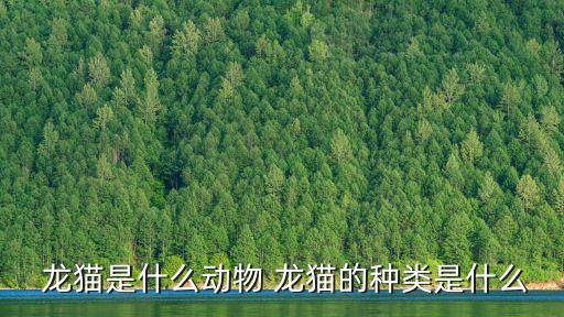 龍貓,【電影《龍貓》系列:龍貓是什么來頭?