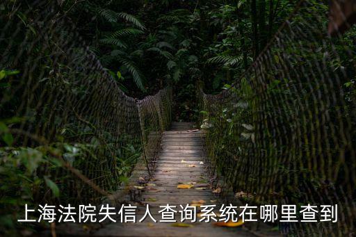 上海法院失信人查詢系統(tǒng)在哪里查到
