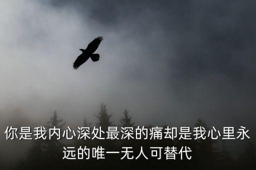 你惦我心內(nèi)尚深的所在，你是我內(nèi)心深處最深的痛卻是我心里永遠(yuǎn)的唯一無(wú)人可替代