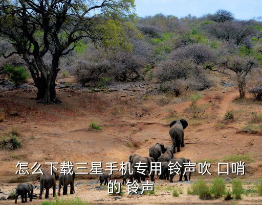 口哨鈴聲,廣播電影院播出20分鐘廣播