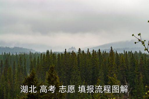 湖北 高考 志愿 填報流程圖解