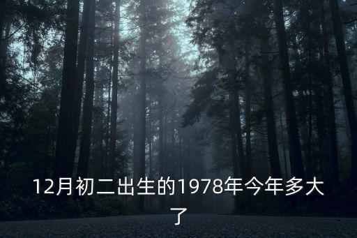 12月初二出生的1978年今年多大了