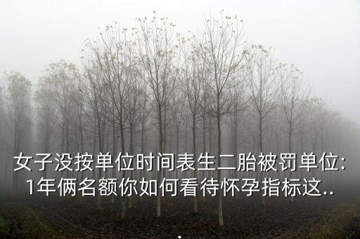 女子沒按單位時間表生二胎被罰單位:1年倆名額你如何看待懷孕指標(biāo)這...
