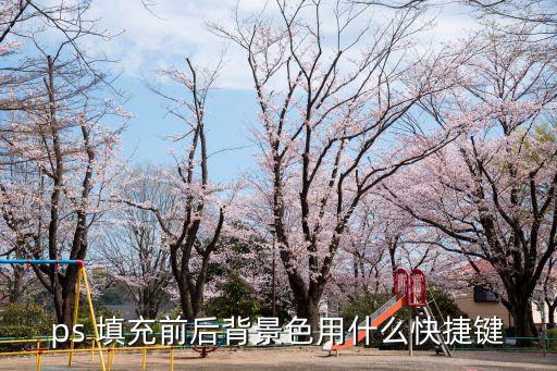 ps 填充前后背景色用什么快捷鍵
