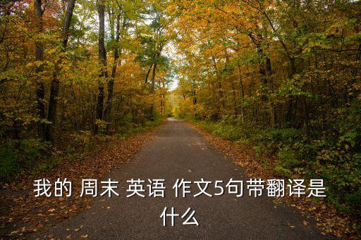 我的周末英語作文5句,我和你一樣希望被尊重!