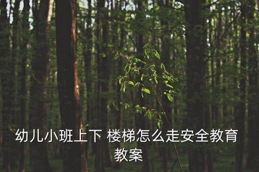 幼兒小班上下 樓梯怎么走安全教育 教案