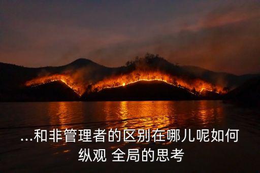 縱觀全局,第二集:全局觀察與名詞搭配的智慧