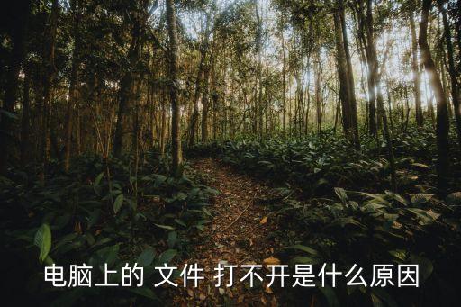 電腦上的 文件 打不開是什么原因