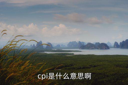 cpi什么意思,通貨膨脹與cpi的區別