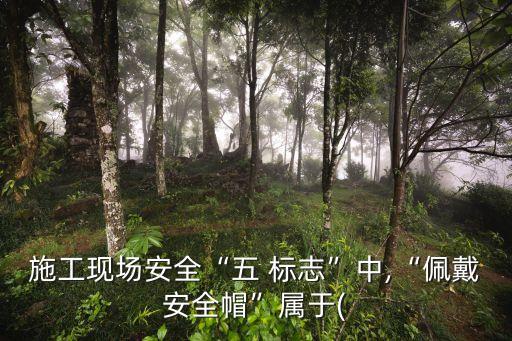指令標志,安全標志設置在墻壁或其他結構上時應與主色相對比