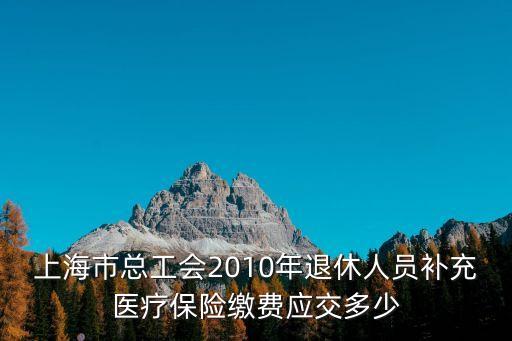 上海市總工會2010年退休人員補充醫療保險繳費應交多少