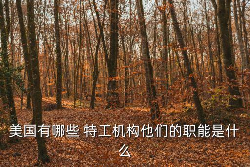 美國特工,美國特工潛伏在海外保護美國總統(tǒng)人身安全