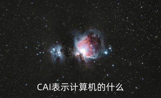 CAI表示計算機的什么