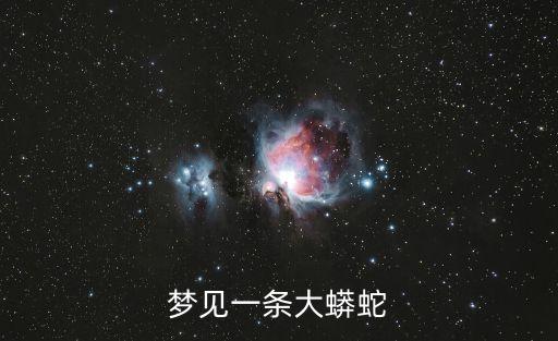 夢見一條大蟒蛇是什么征兆，夢見一條大蟒蛇