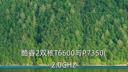 酷睿2雙核T6600與P7350(2.0GHz