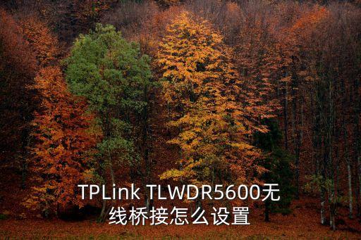 TPLink TLWDR5600無線橋接怎么設(shè)置