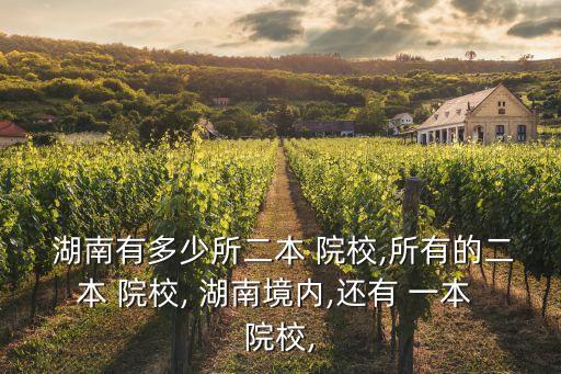 湖南一本院校,湖南一本有哪些大學?