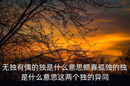 無獨有偶的獨是什么意思鰥寡孤獨的獨是什么意思這兩個獨的異同