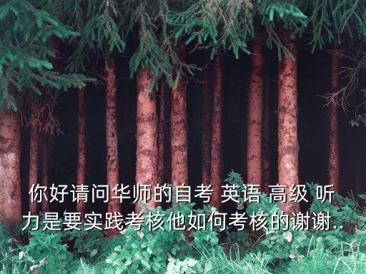 英語高級聽力,外企綠卡、外企通行證英語語言水平等級劃分