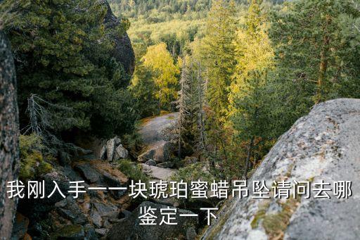 我剛入手一一塊琥珀蜜蠟吊墜請問去哪鑒定一下