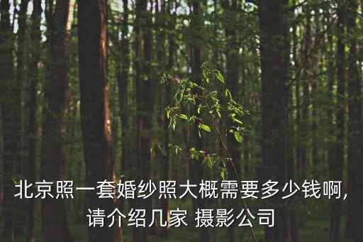 北京照一套婚紗照大概需要多少錢啊,請介紹幾家 攝影公司