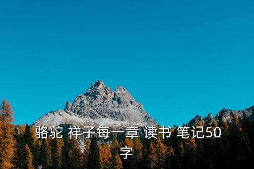 駱駝祥子讀書筆記摘抄