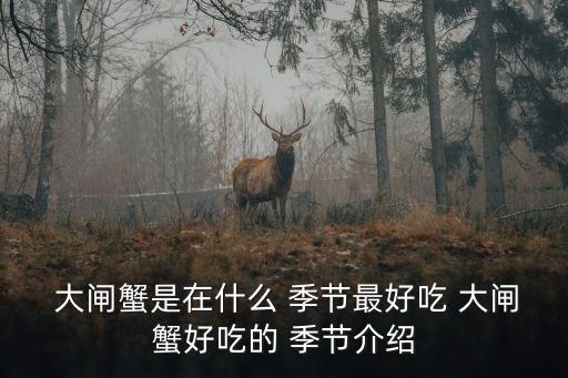  大閘蟹是在什么 季節最好吃 大閘蟹好吃的 季節介紹