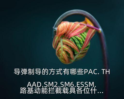 THAAD,中國紅旗19導彈攔截計劃落敗?原來是這回事
