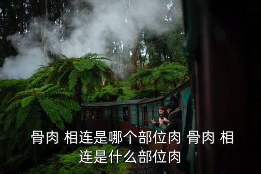 骨肉相連,肉相連怎么做好吃嗎?