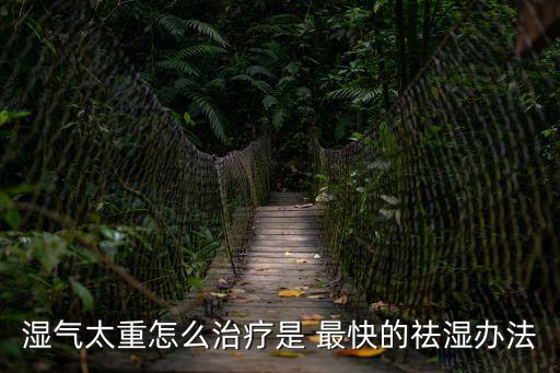 濕氣太重怎么治療是 最快的祛濕辦法