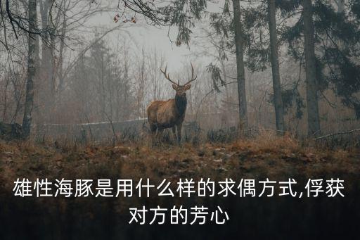 性前戲,性愛前吹口哨求偶獅城男:這樣做不會發(fā)霉!