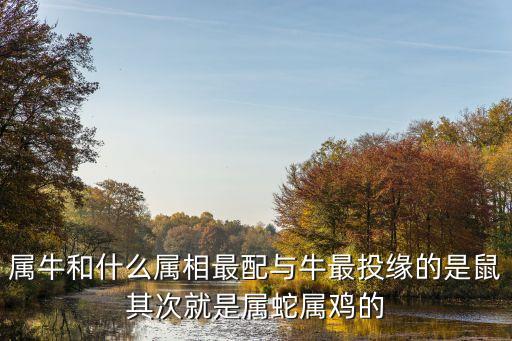 牛的三合和六個合生肖是什么，屬牛的和那幾種屬相合