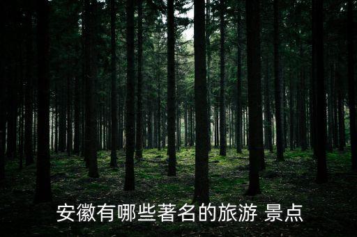 安徽景點,酒店為滯留游客續租提供半價優惠三亞:變相漲價