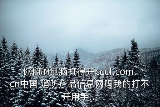 你們的電腦打得開cccf.com.cn中國 消防產(chǎn)品信息網(wǎng)嗎我的打不開用手...
