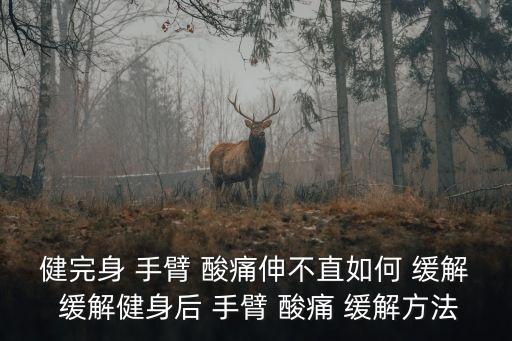 健完身 手臂 酸痛伸不直如何 緩解 緩解健身后 手臂 酸痛 緩解方法