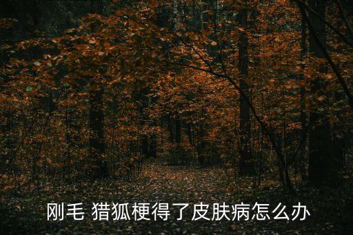 剛毛獵狐梗,剛毛獵狐梗狗狗智商排名第51位